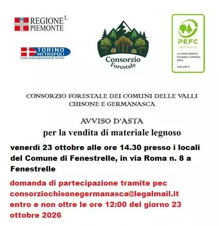 Asta per vendita lotti boschivi